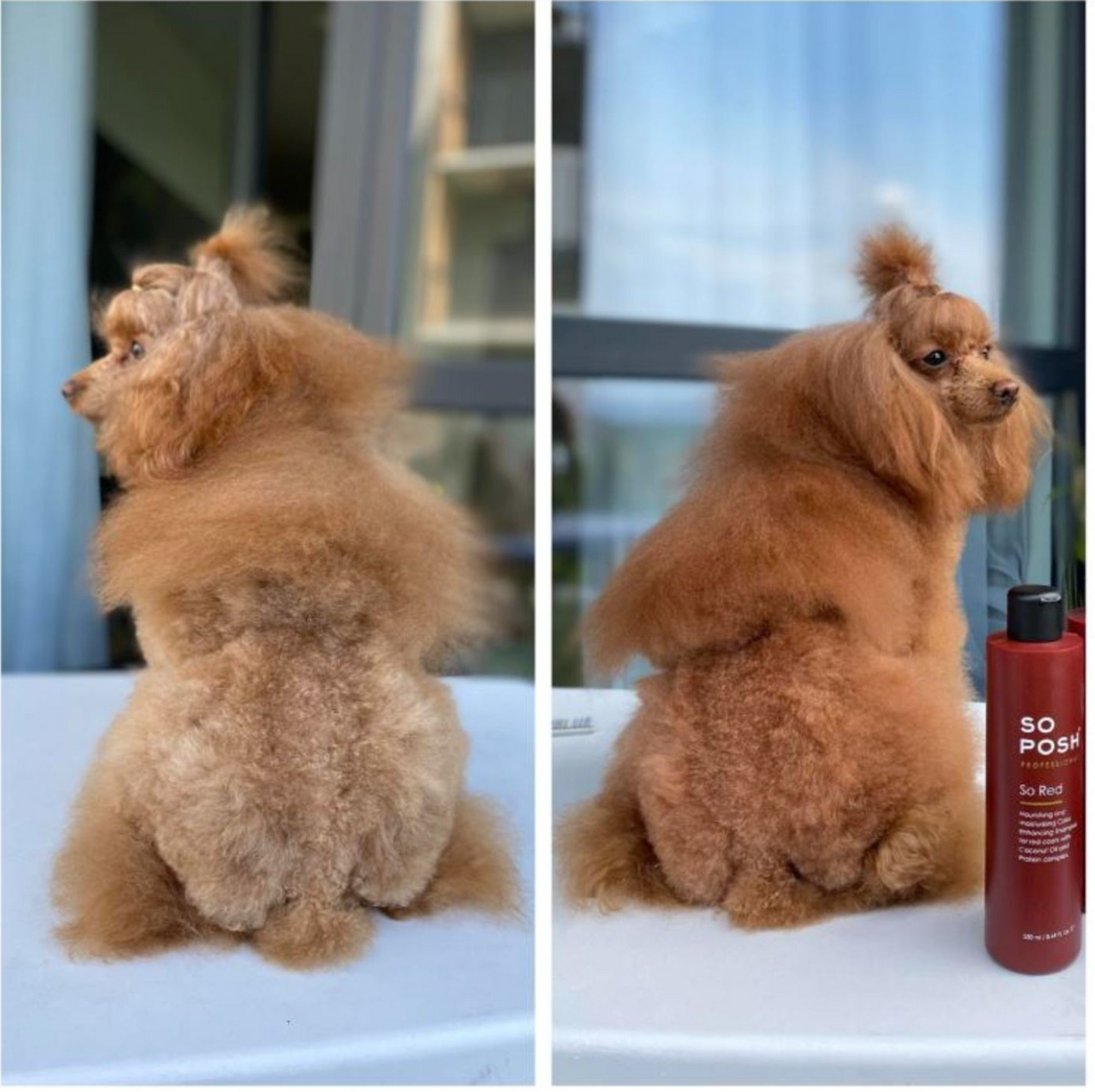 So Red Color Depositing Kit