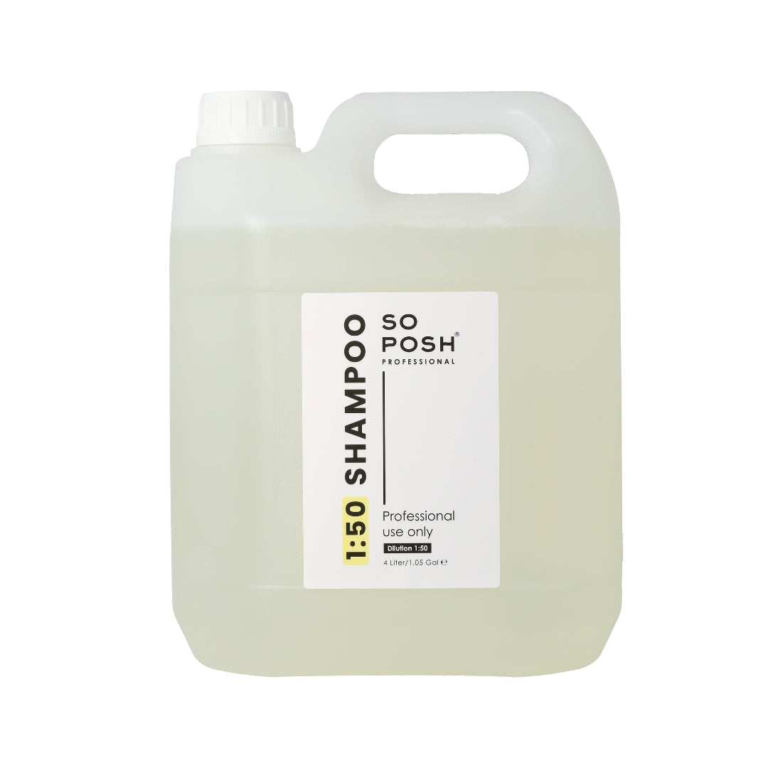 Shampoo canister labeled '1:50 Shampoo 4L' on a white background