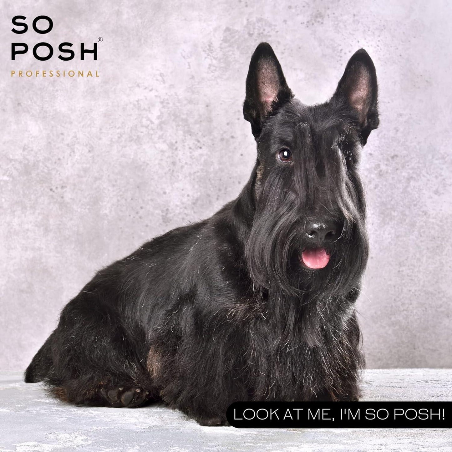 I'm So Harsh Shampoo - SO POSH