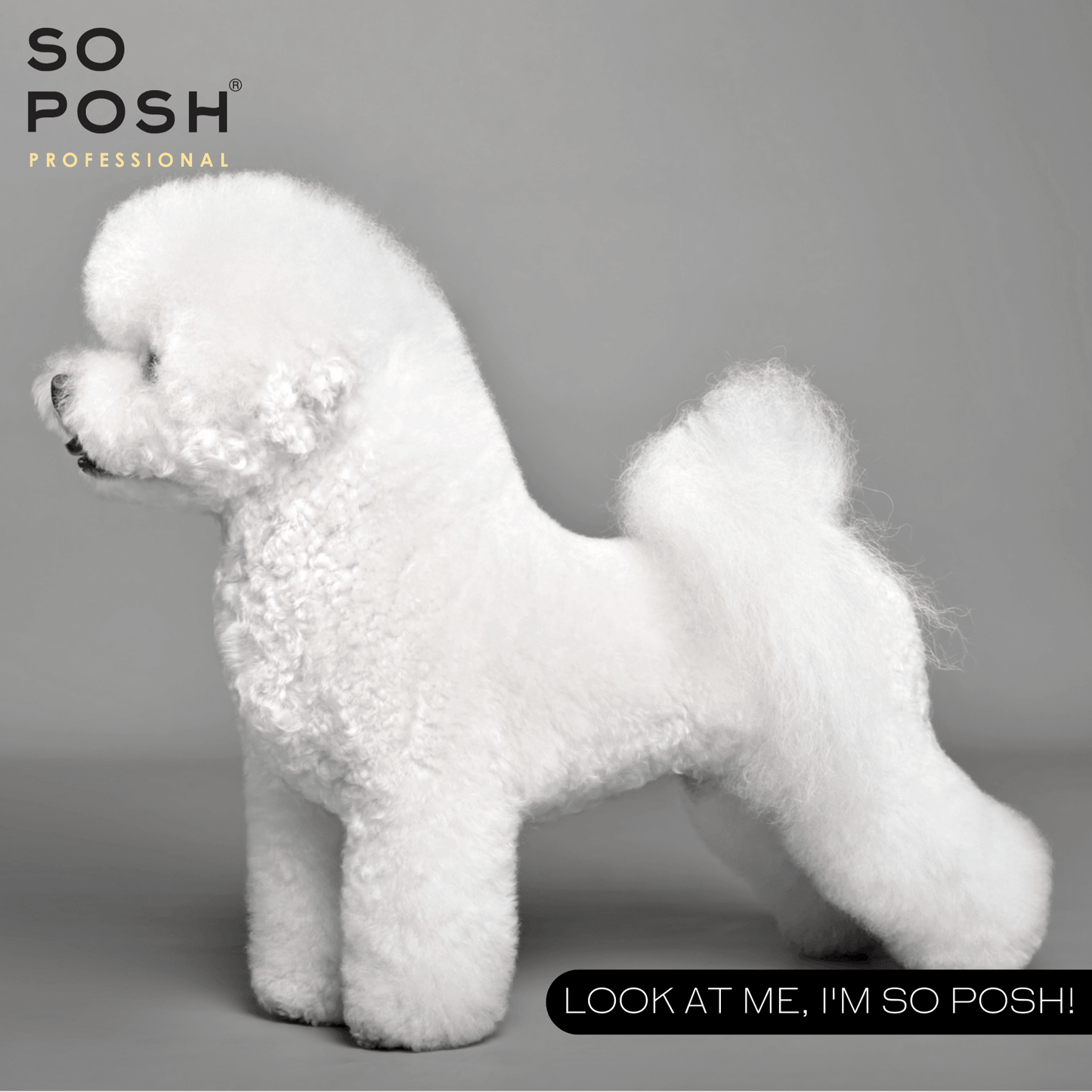 I'm So Puffy Conditioner - SO POSH