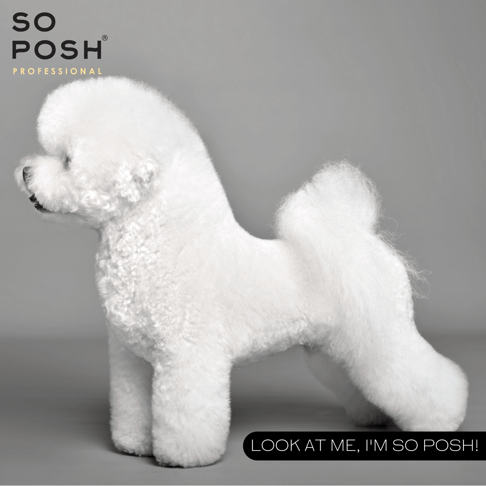 I'm So Puffy Conditioner - SO POSH