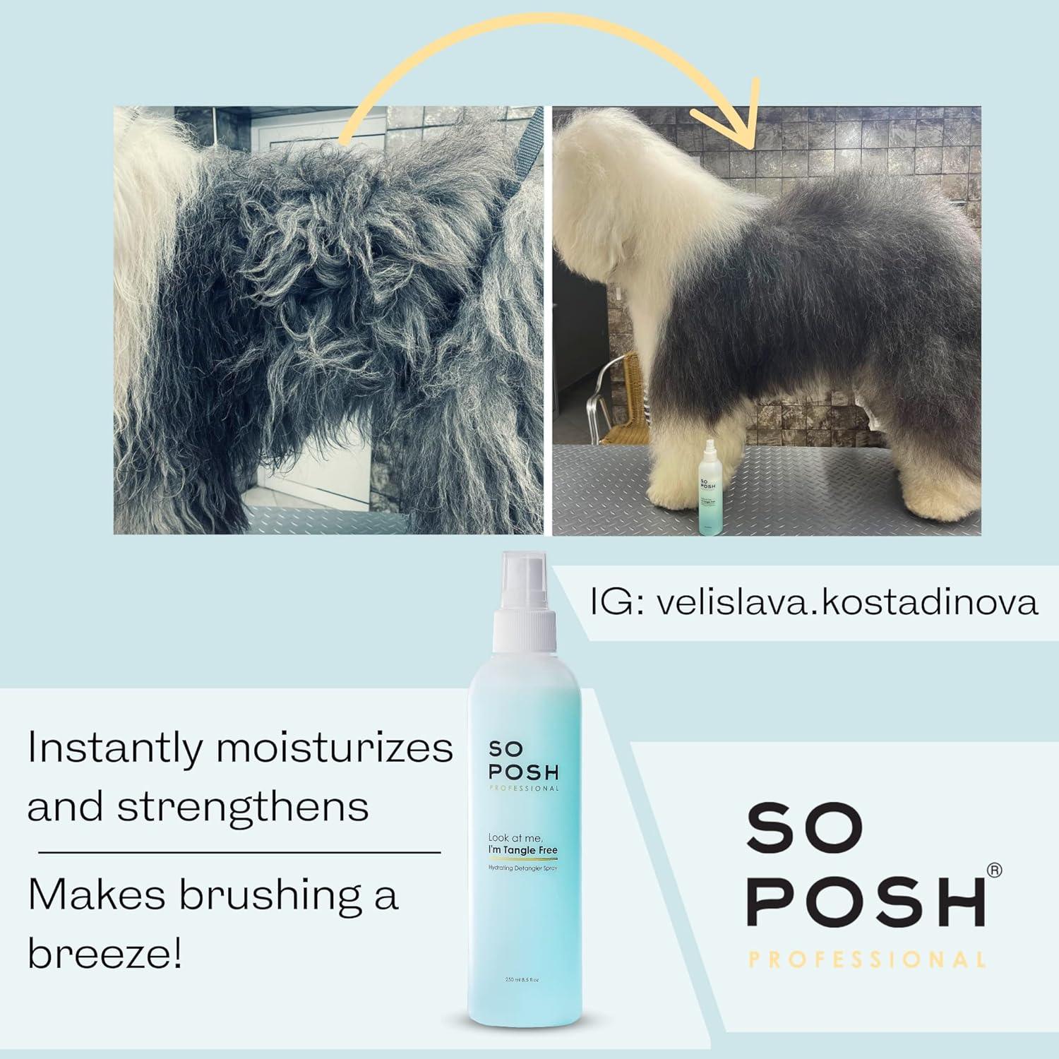 SO POSH - Look at Me, I'm Tangle Free – So Posh
