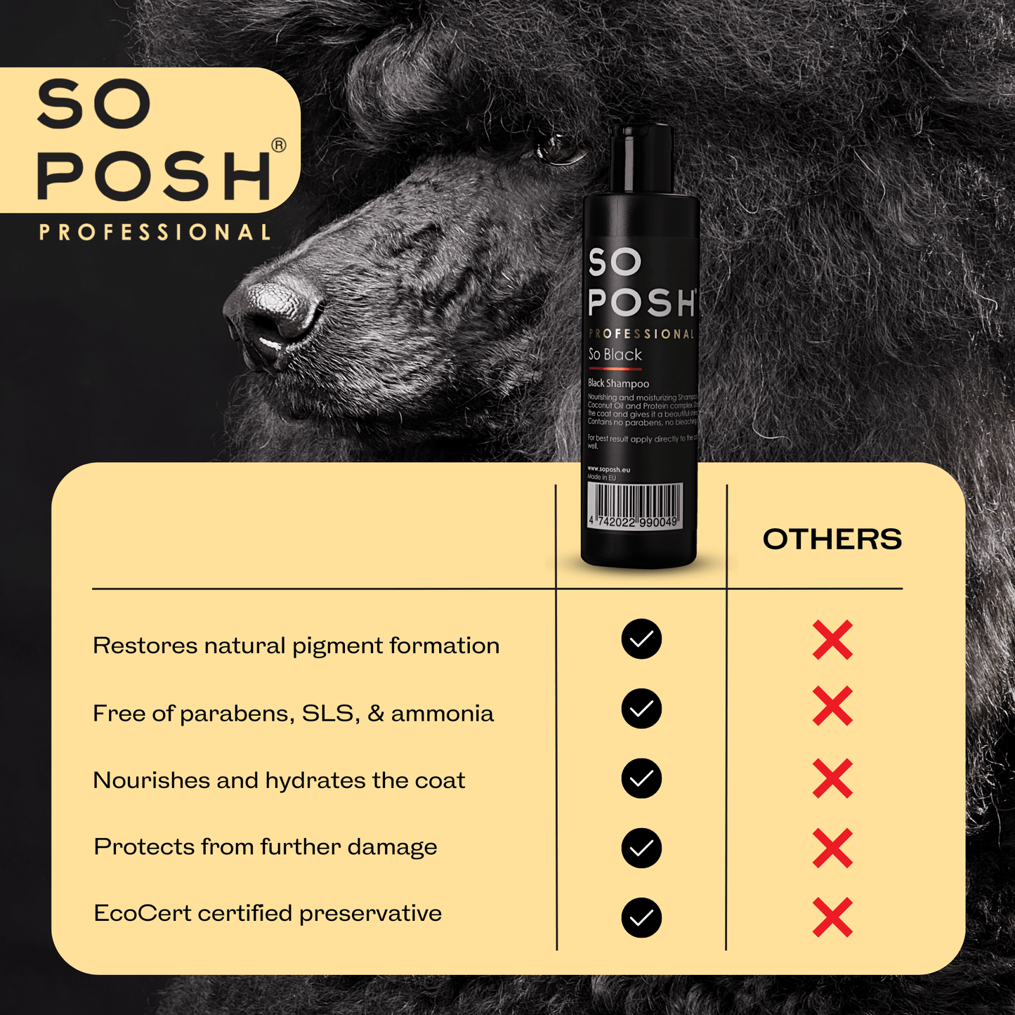 So Black Shampoo - SO POSH