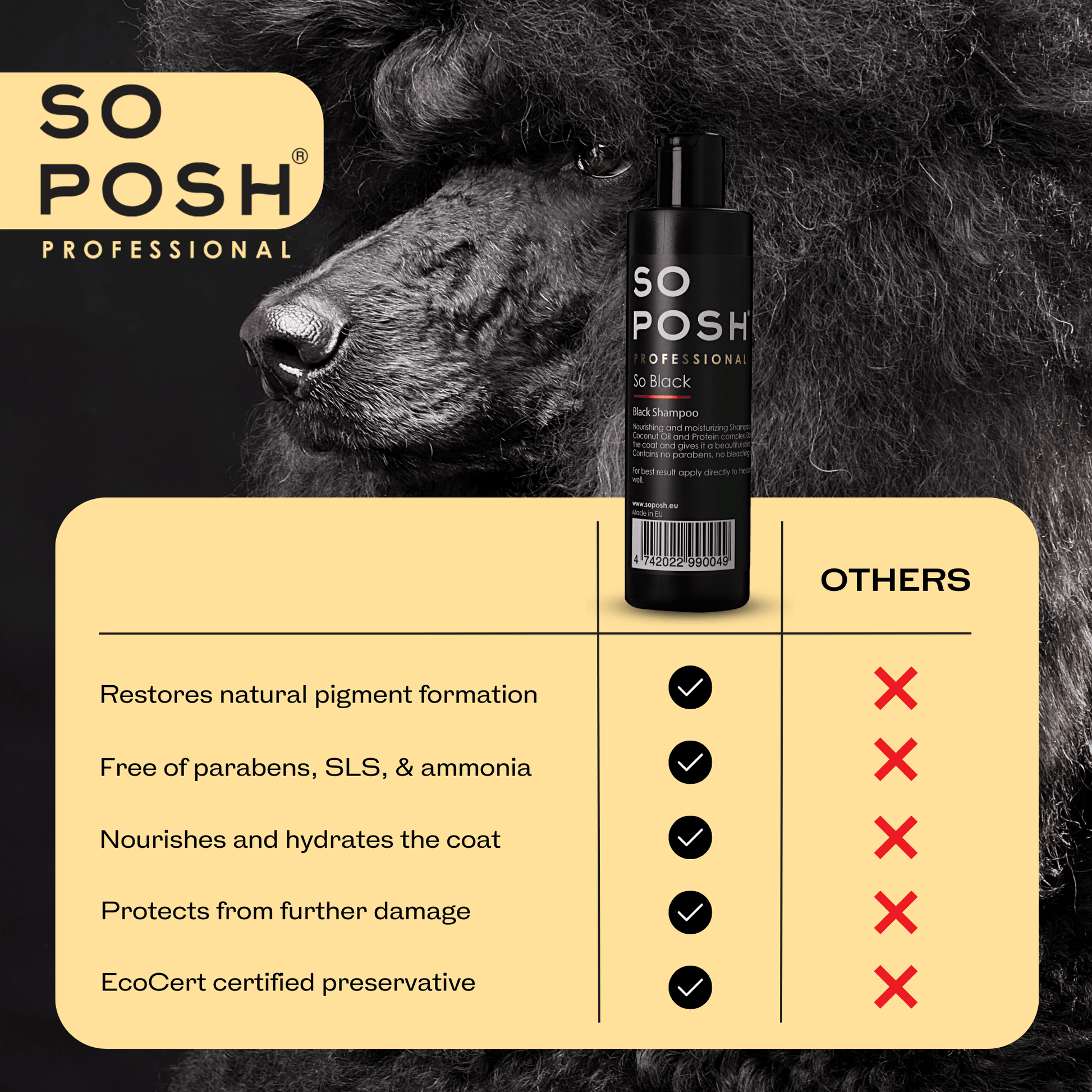 So Black Shampoo - SO POSH